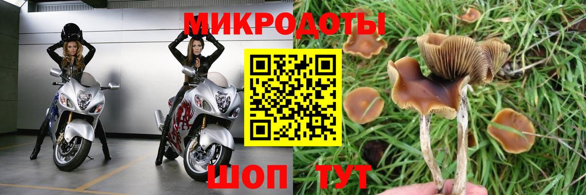 Псилоцибиновые грибы мицелий Стрежевой